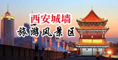 我想看大人尻小逼的中国陕西-西安城墙旅游风景区